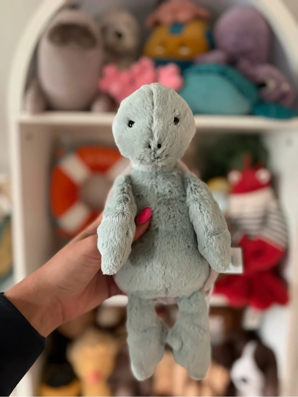 Jellycat Bashful Turtle - Authentic & BNWT